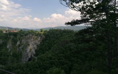 Извештај о реализованом Еко пројекту